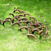uploads/erp/collection/images/Home Garden/CongDing/XU0610863/img_b/XU0610863_img_b_1